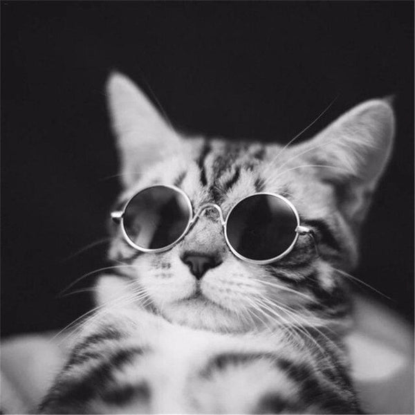 1pc Pet Sunglasses Fashion Summer Dog Cats Sunglass Eye-Protection Glasses for Puppy Kitten Grooming Products Pet Accessories